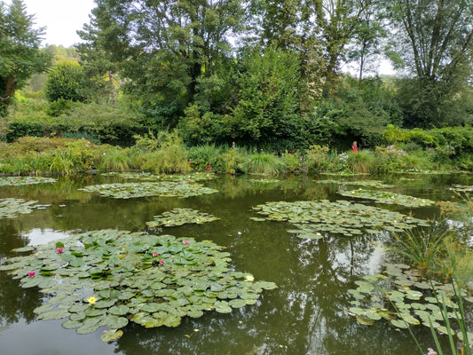 Fall at Giverny gardens, France